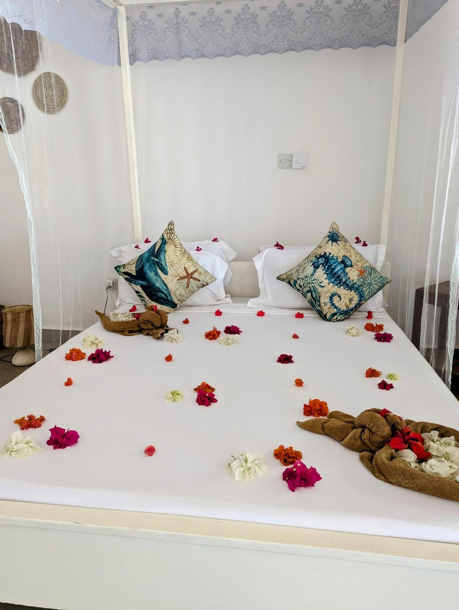 Bahati Villa Kiwengwa  Ngoại thất bức ảnh
