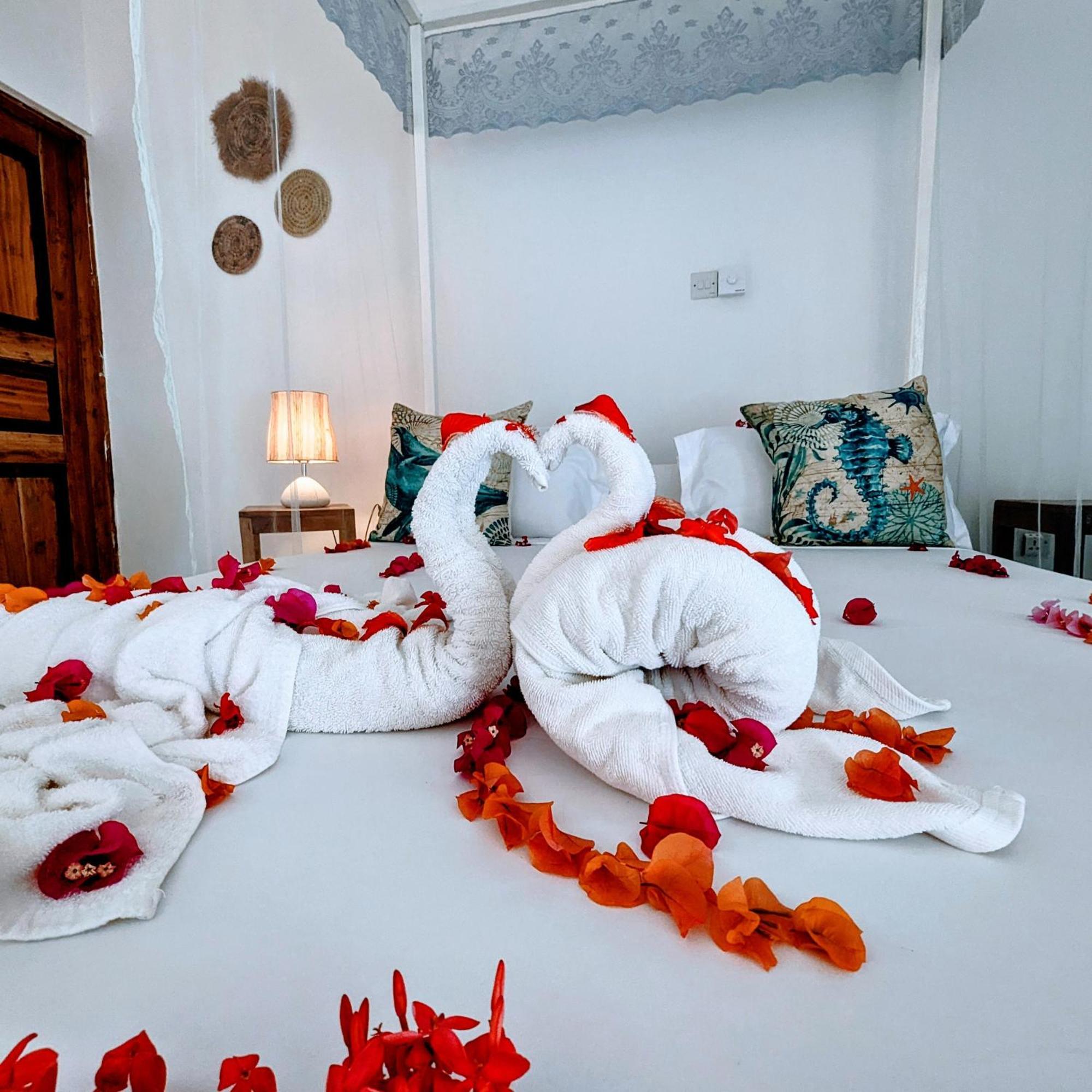 Bahati Villa Kiwengwa  Ngoại thất bức ảnh