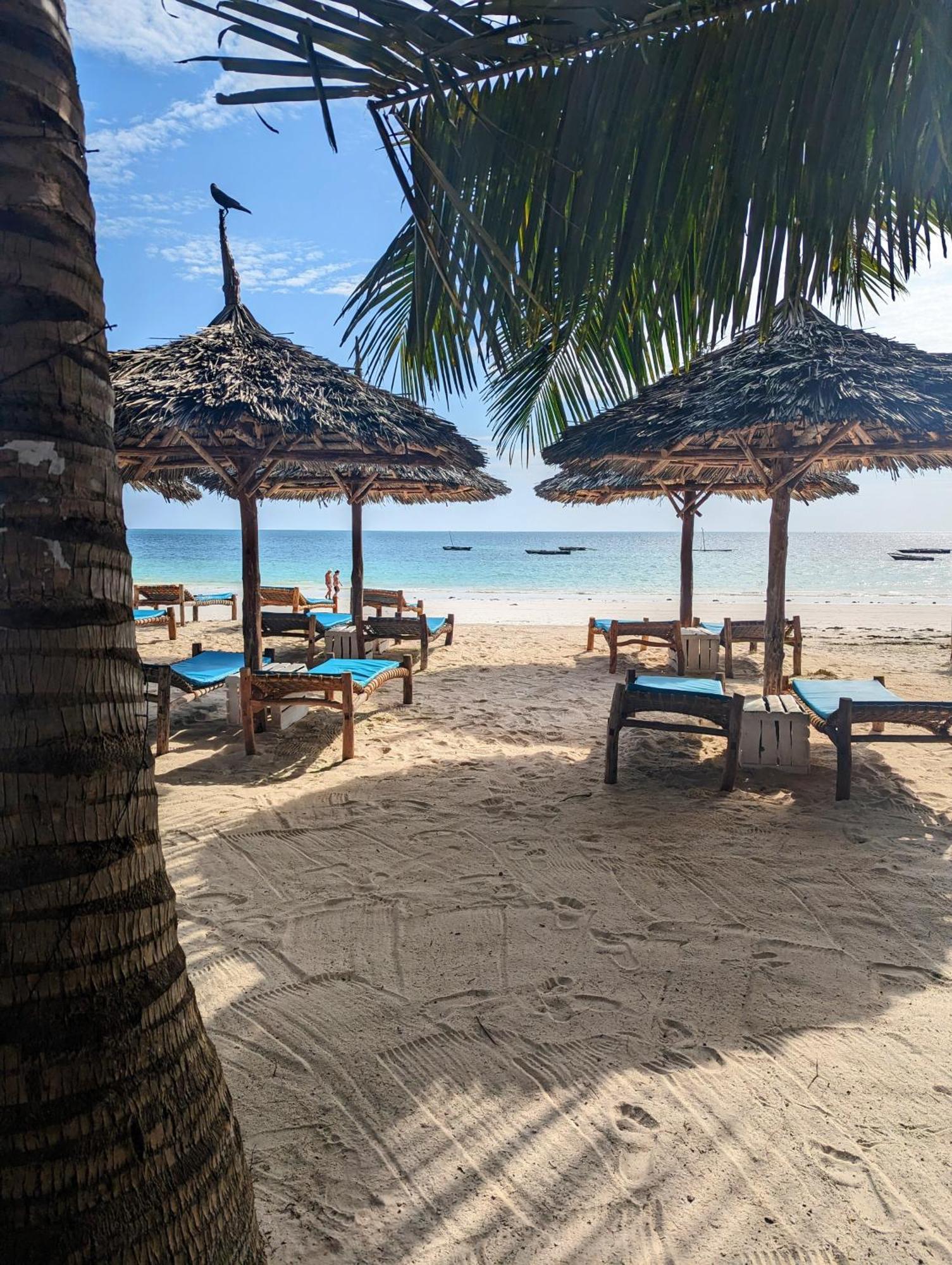 Bahati Villa Kiwengwa  Ngoại thất bức ảnh